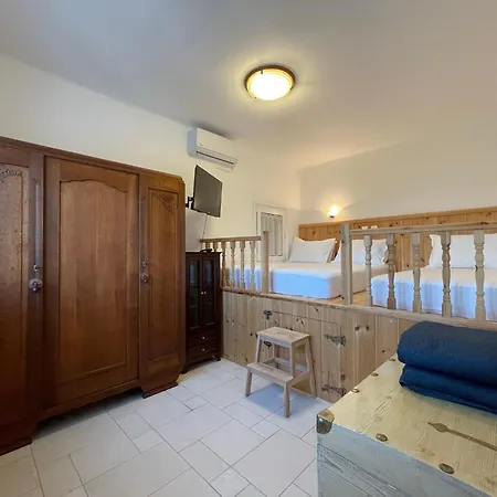 Xenia Terra 키오타리