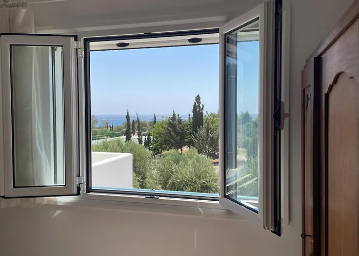 Xenia Terra 키오타리