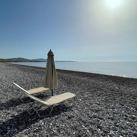 Xenia Terra * Kiotari