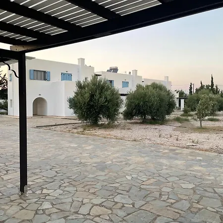 Xenia Terra * Kiotari