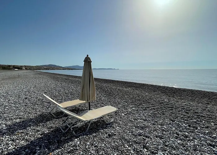 Xenia Terra * كوتاري